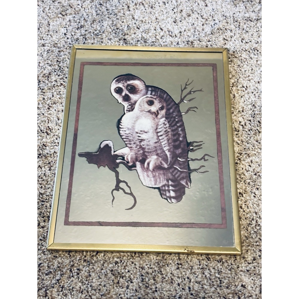 Vintage Snowy‎ Owl Wall Mirror Brytone 2D Etched Glass Art Retro MCM